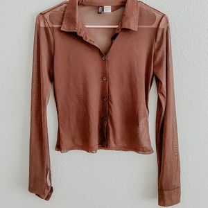 Sheer brown top
